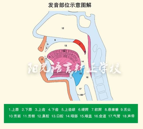 三岁孩子说话不清楚是什么原因